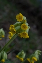 lac_de_la_Raviere_19.htm